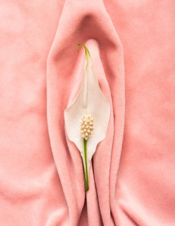 vulva Cáncer Ginecológico en Celaya